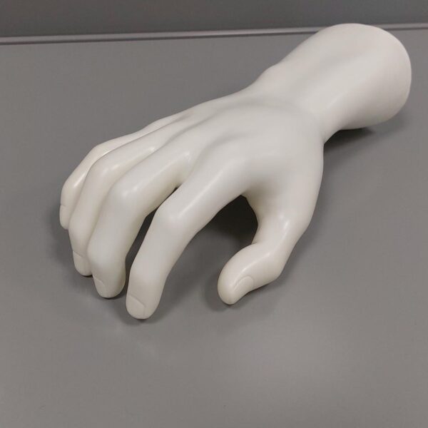 215355 Male Glove Display Hand White