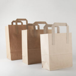 400505 Paper carrier bags 300x300 1 253x253 1