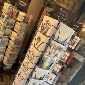 image Card Displays Spinners