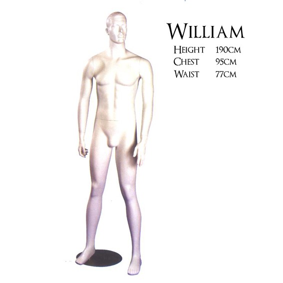 Matt White Male Mannequin with Sculpted Features "William"