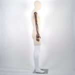 Male Articulated Mannequin Side Front