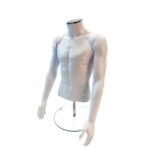 Headless male mannequin torso with stand