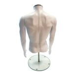 Headless male mannequin torso with stand