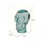 215268 Clear display skull head 3