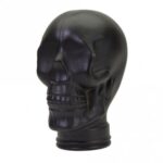 215270 black glass display skull head