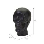 215270 black glass display skull head 2