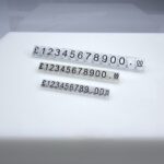 IMG 0919