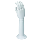 Articulated Display Hand (1)