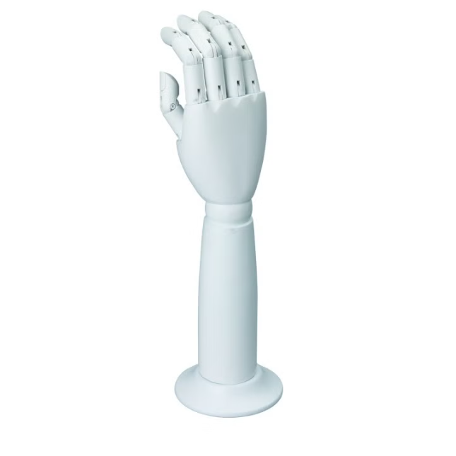 Articulated Display Hand (1) Articulated Display Hand (1)