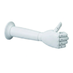 Articulated Display Hand (2)